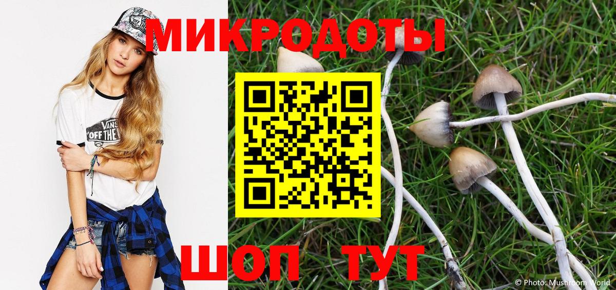 Псилоцибиновые грибы Cubensis Рыбинск